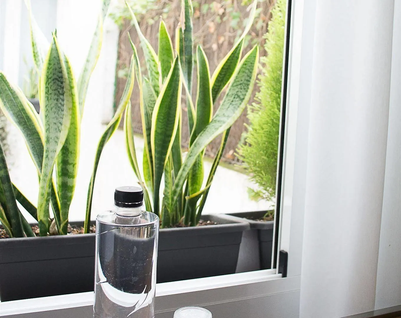 Bed & Breakfast Lemar By Aspasios Barcelona